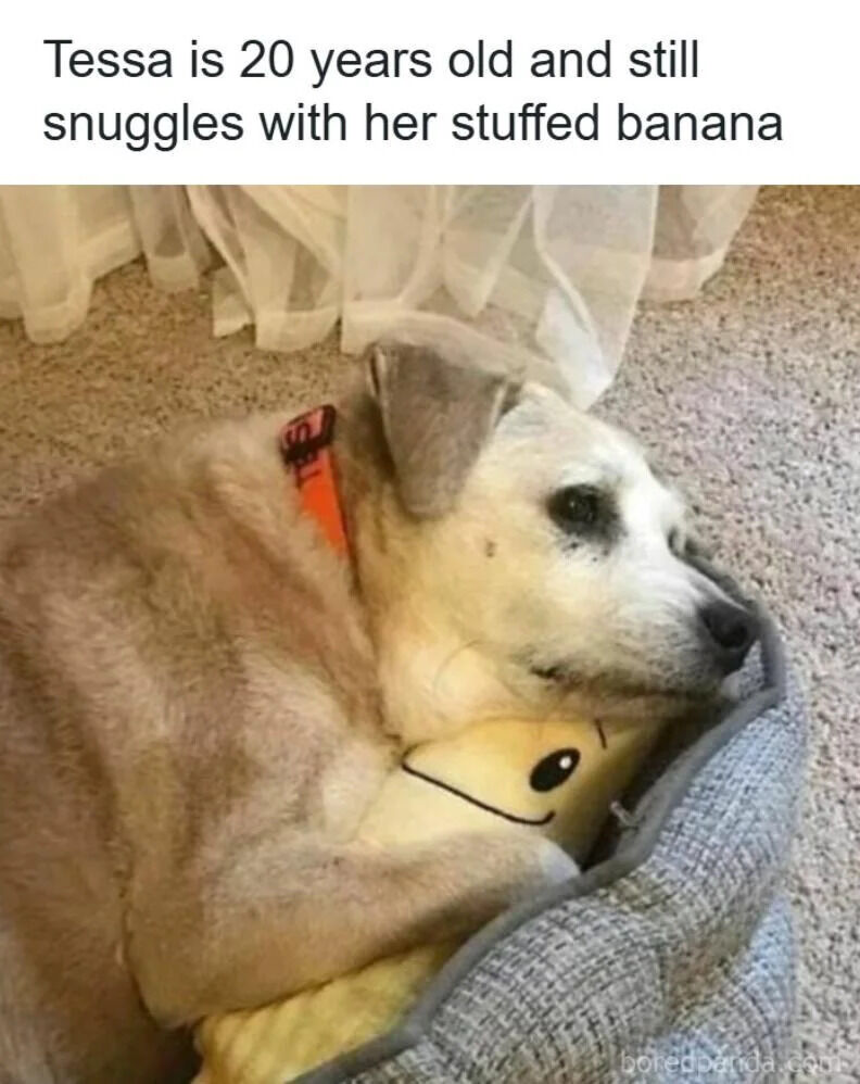 Tessa is 20 years old and still snuggles with her stuffed banana