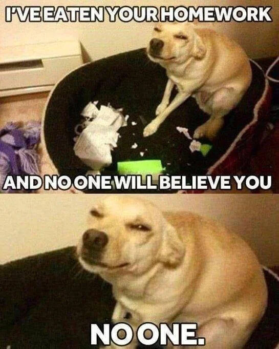 I'VE EATEN YOUR HOMEWORK AND NO ONE WILL BELIEVE YOU NO ONE.