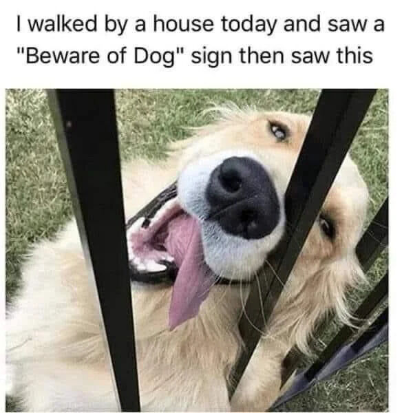 I walked by a house today and saw a "Beware of Dog" sign then saw this