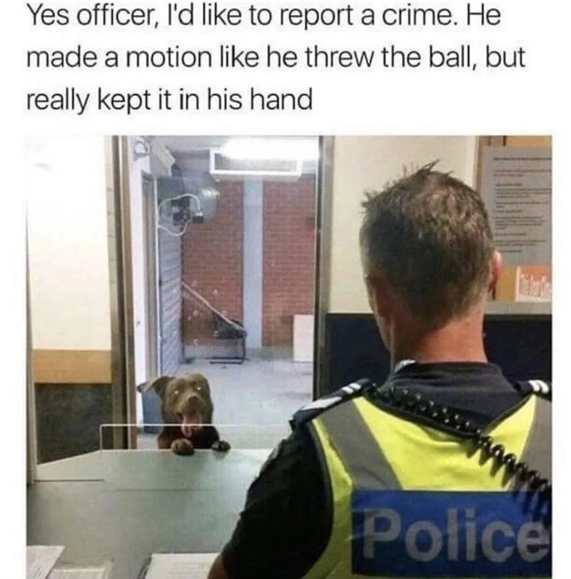 Yes officer, I'd like to report a crime. He made a motion like he threw the ball, but really kept it in his hand www Police