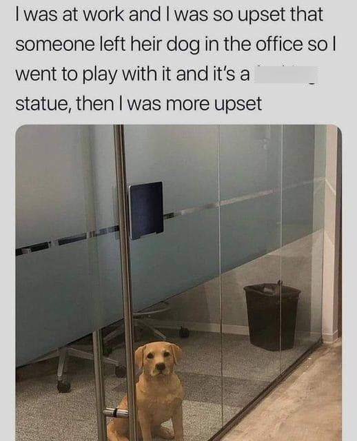 I was at work and I was so upset that someone left heir dog in the office so I went to play with it and it's a statue, then I was more upset