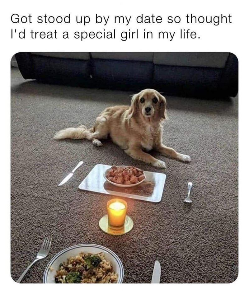 Got stood up by my date so thought I'd treat a special girl in my life.