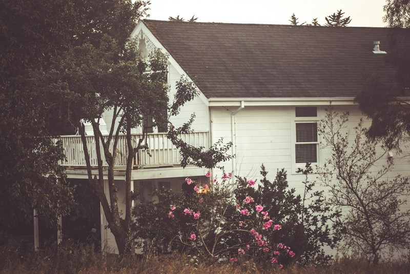 A quiet countryside home sits surrounded by trees and blooming flowers.