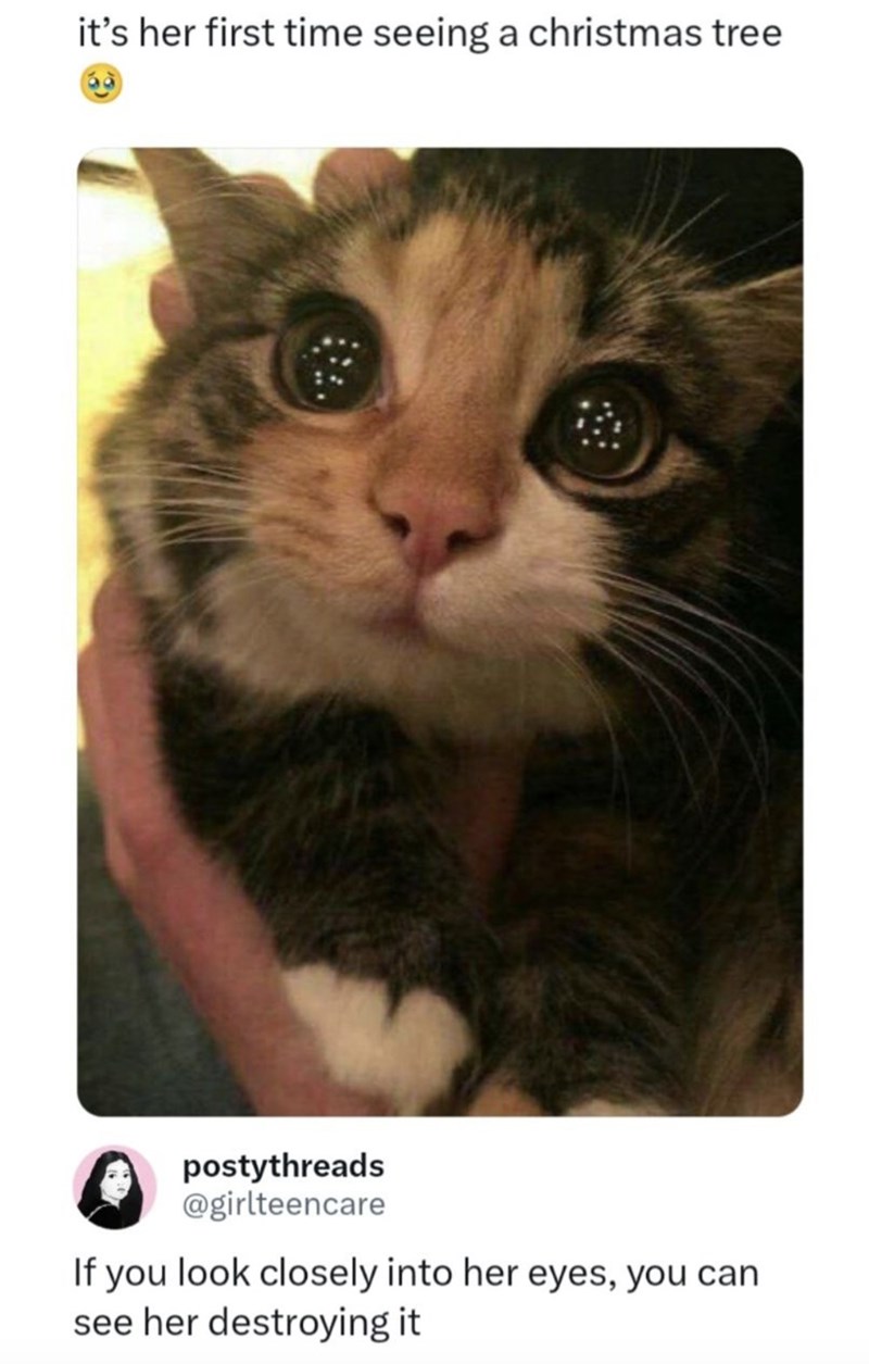 it's her first time seeing a christmas tree postythreads @girlteencare If you look closely into her eyes, you can see her destroying it