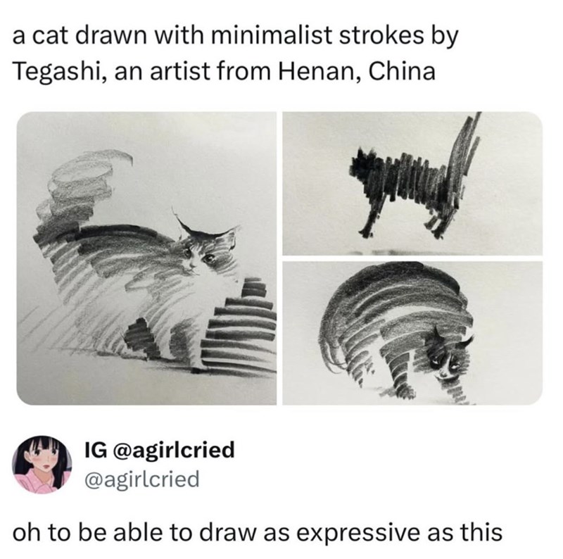 a cat drawn with minimalist strokes by Tegashi, an artist from Henan, China IG @agirlcried @agirlcried oh to be able to draw as expressive as this