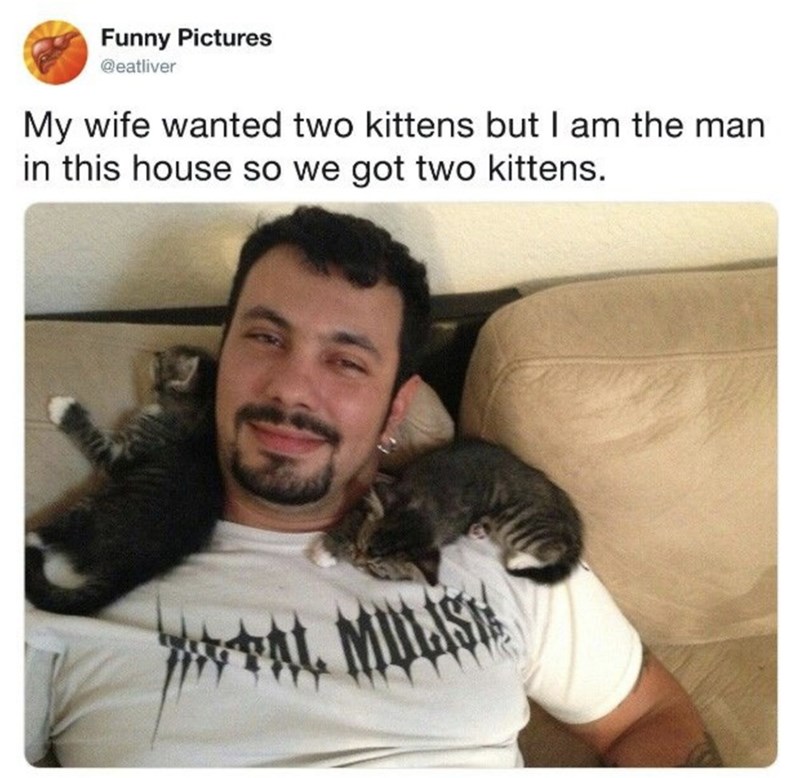 Funny Pictures @eatliver My wife wanted two kittens but I am the man in this house so we got two kittens. PAL MULISH