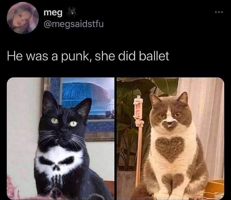 meg @megsaidstfu He was a punk, she did ballet