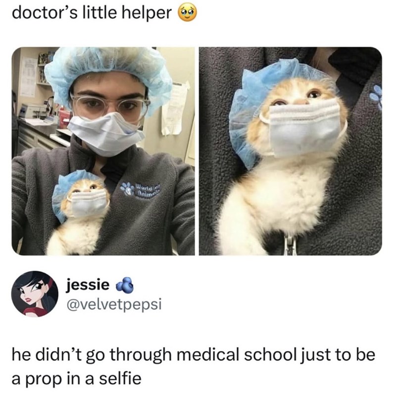 doctor's little helper World Anim jessie @velvetpepsi he didn't go through medical school just to be a prop in a selfie