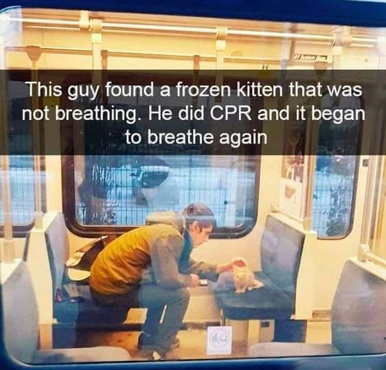 This guy found a frozen kitten that was not breathing. He did CPR and it began to breathe again