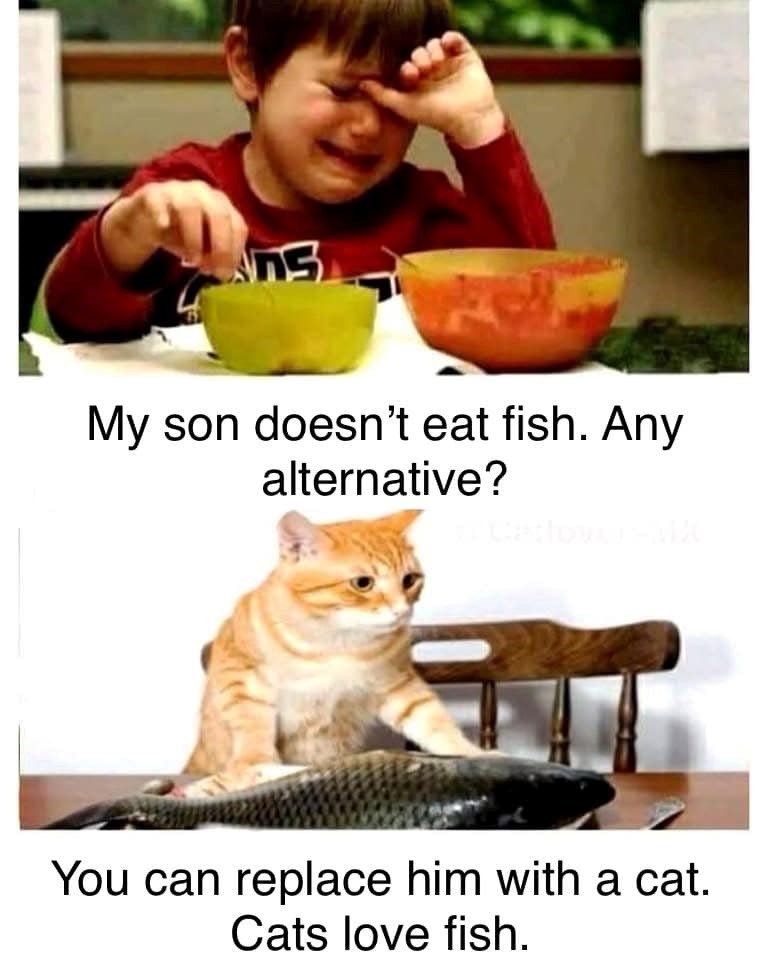 Ans My son doesn't eat fish. Any alternative? You can replace him with a cat. Cats love fish.