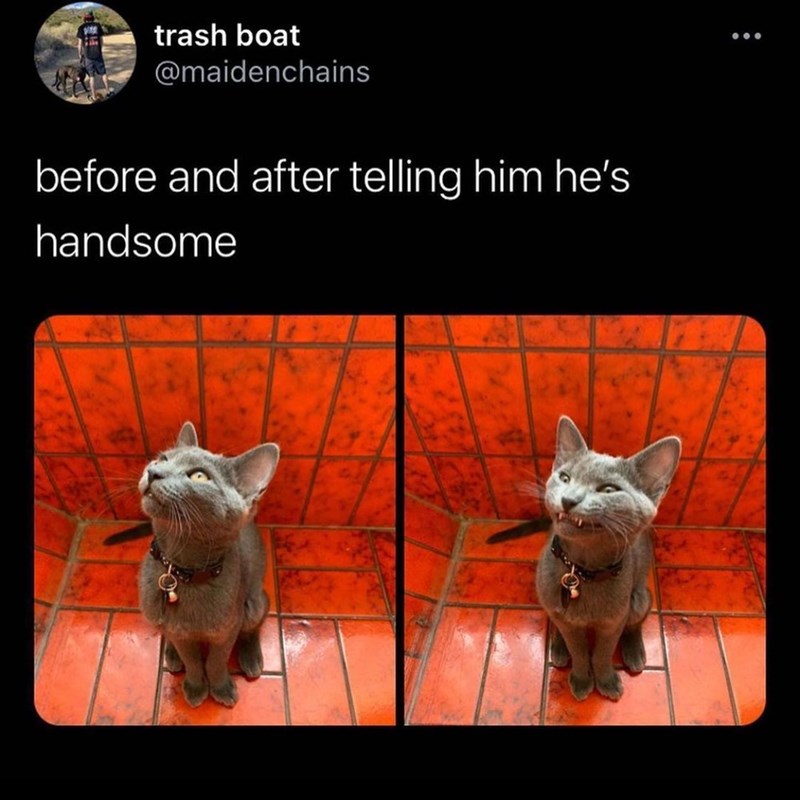 trash boat @maidenchains before and after telling him he's handsome