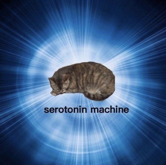 serotonin machine
