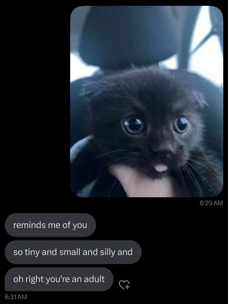 reminds me of you SO tiny and small and silly and oh right you're an adult 6:31 AM 6:29 AM