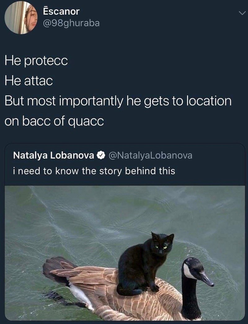 Escanor @98ghuraba He protecc He attac But most importantly he gets to location on bacc of quacc Natalya Lobanova @NatalyaLobanova i need to know the story behind this