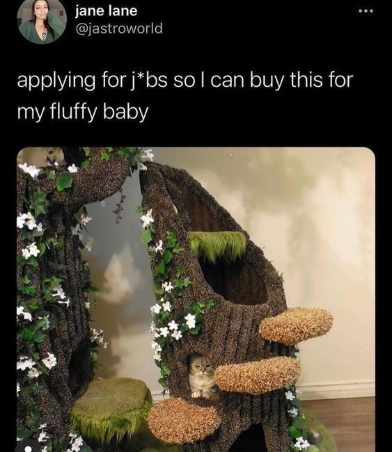 jane lane @jastroworld applying for j*bs so I can buy this for my fluffy baby