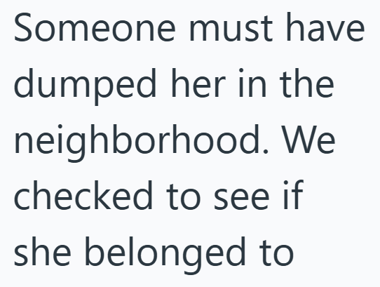 Someone must have dumped her in the neighborhood. We checked to see if she belonged to