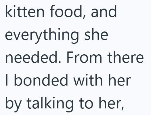 kitten food, and everything she needed. From there I bonded with her by talking to her,