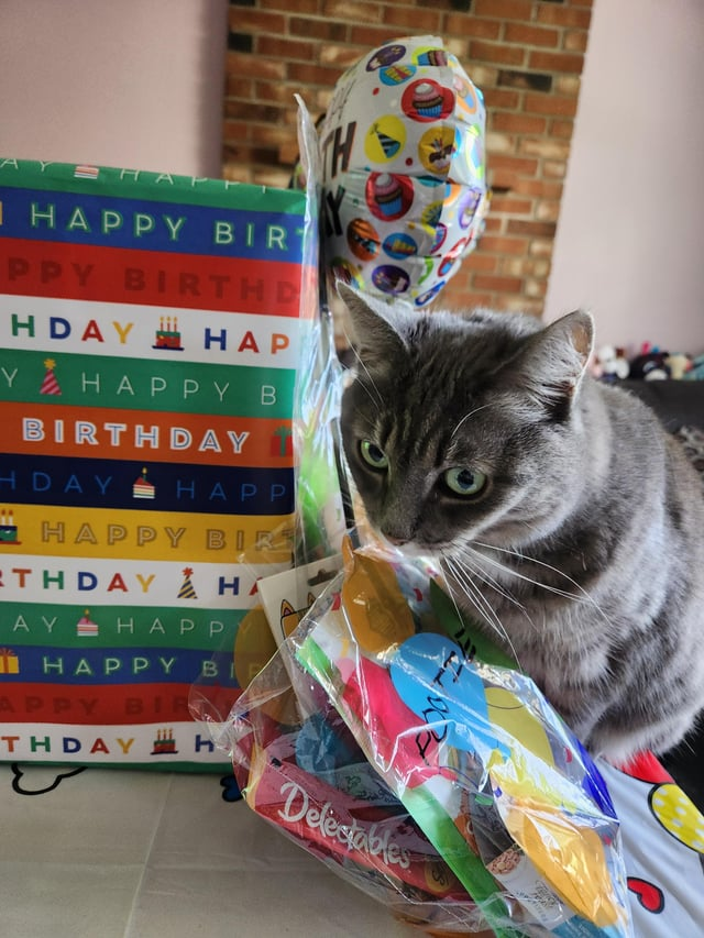 HAPPY BIR PPY BIRTHD HDAY HAP Y HAPPY B BIRTHDAY HDAY HAPP HAPPY BIR ETHDAY AY HAPP HA HAPPY BI APPY BIR THDAY h Delectables