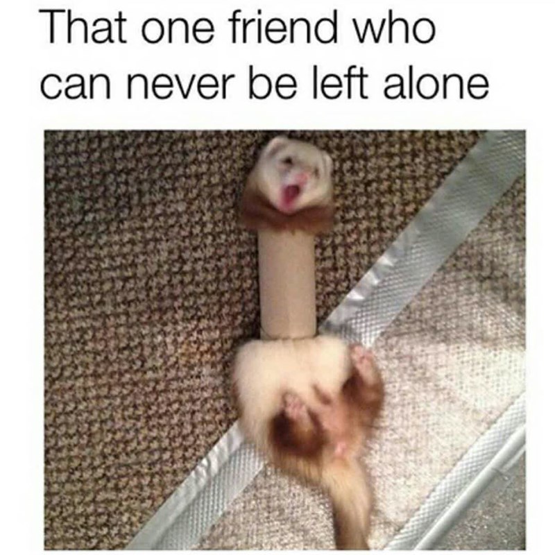 That one friend who can never be left alone