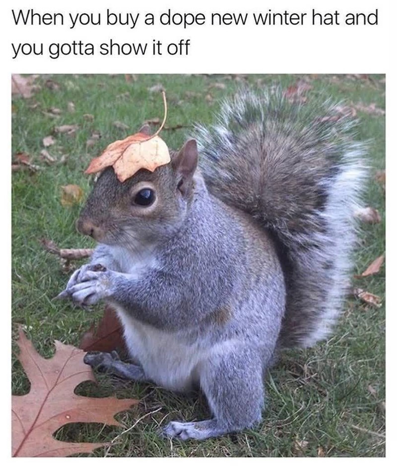 When you buy a dope new winter hat and you gotta show it off