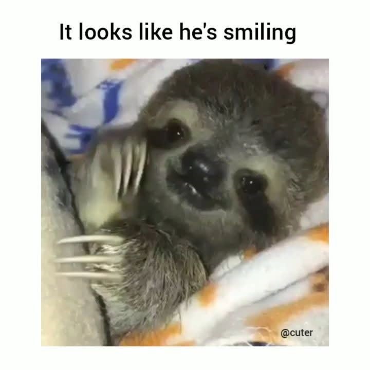 It looks like he's smiling @cuter