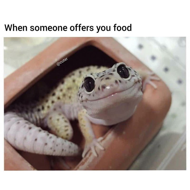 When someone offers you food @cuter