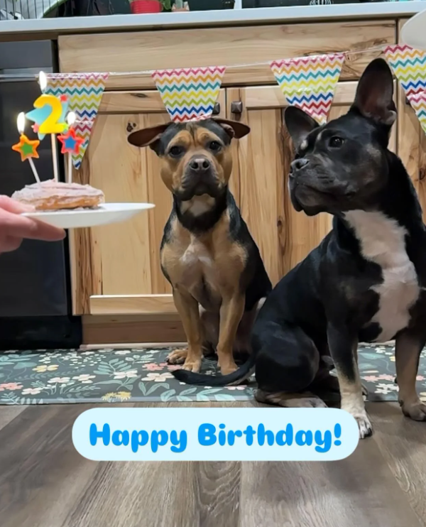 Happy Birthday!