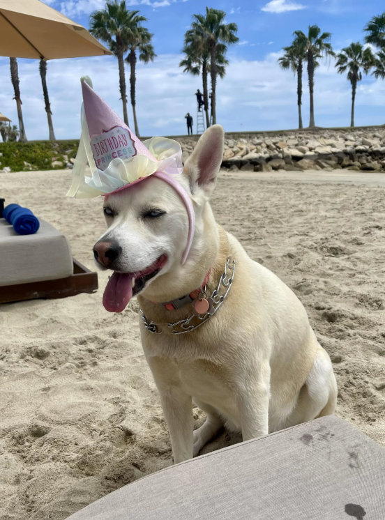 BIRTHDAY PRINCESS