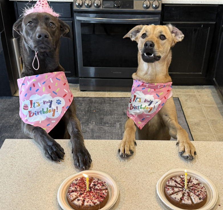 It's my Birthday! SAMSUNG It's my birthday!