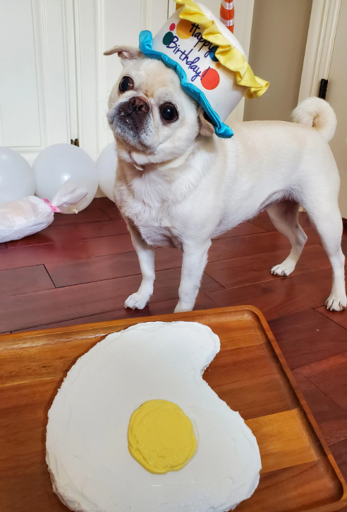 Birthday Парру