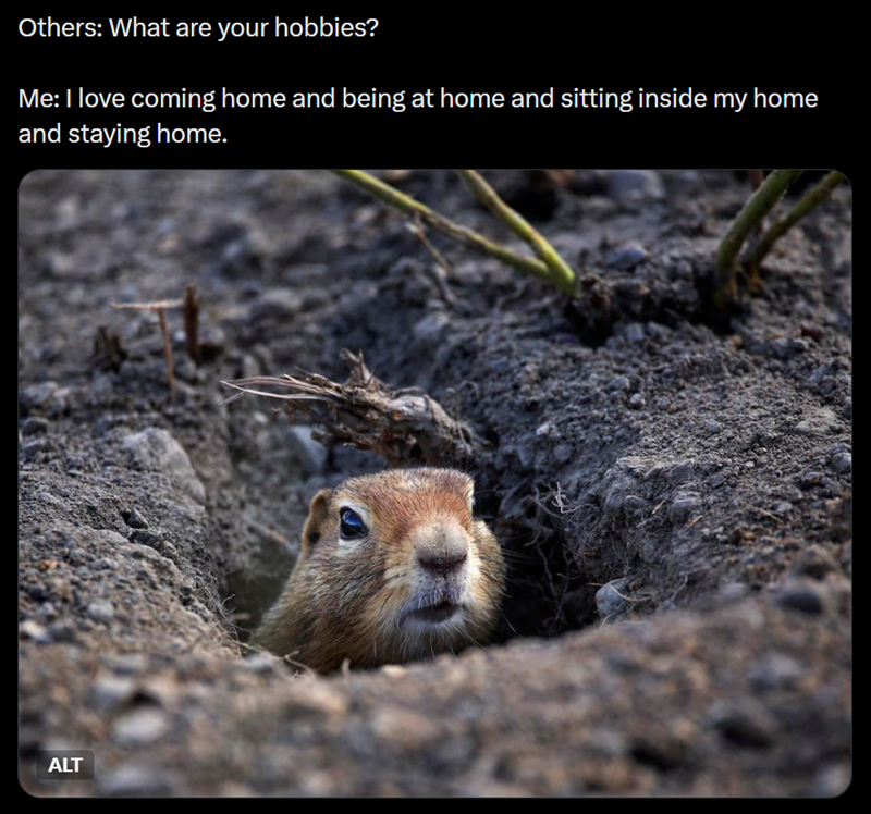 Others: What are your hobbies? Me: I love coming home and being at home and sitting inside my home and staying home. ALT