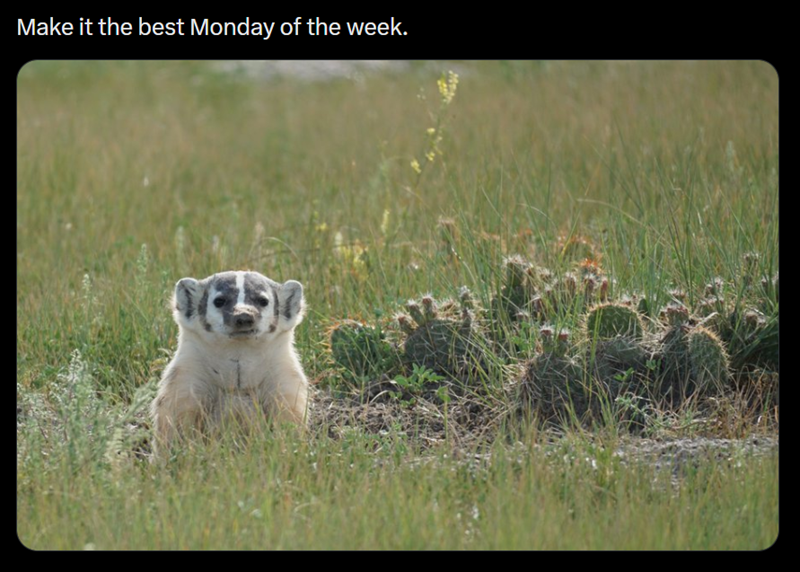 Make it the best Monday of the week.