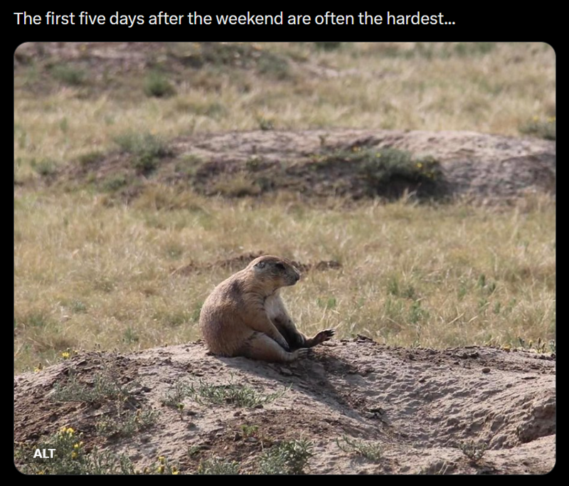 The first five days after the weekend are often the hardest... ALT