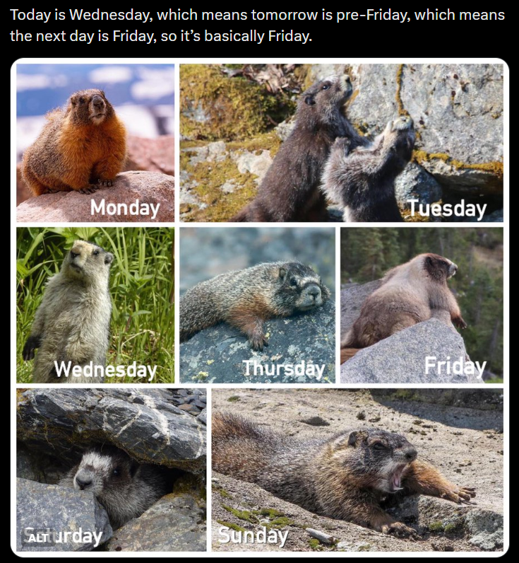 Today is Wednesday, which means tomorrow is pre-Friday, which means the next day is Friday, so it's basically Friday. Monday Tuesday Wednesday Thursday Friday SALTturday Sunday