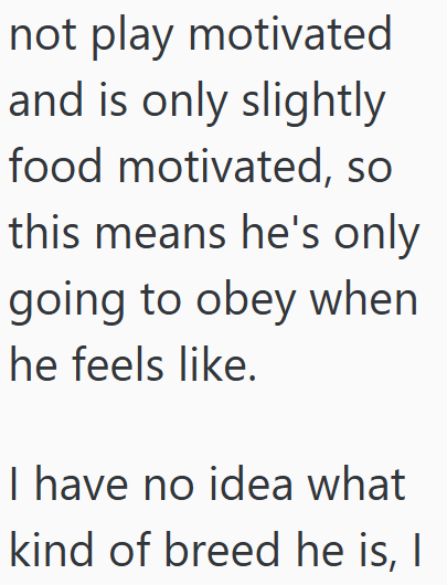 not play motivated and is only slightly food motivated, so this means he's only going to obey when he feels like. I have no idea what kind of breed he is, I