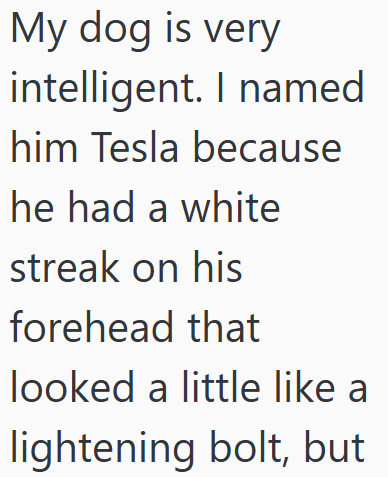 My dog is very intelligent. I named him Tesla because he had a white streak on his forehead that looked a little like a lightening bolt, but