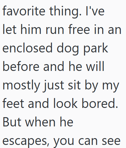 favorite thing. I've let him run free in an enclosed dog park before and he will mostly just sit by my feet and look bored. But when he escapes, you can see