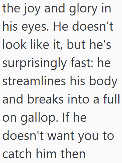the joy and glory in his eyes. He doesn't look like it, but he's surprisingly fast: he streamlines his body and breaks into a full on gallop. If he doesn't want you to catch him then