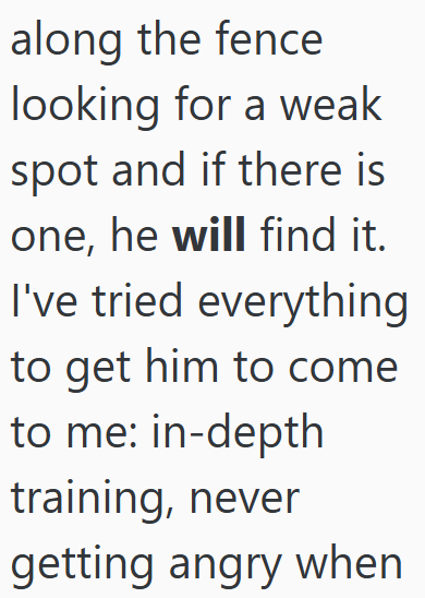 along the fence looking for a weak spot and if there is one, he will find it. I've tried everything to get him to come to me: in-depth training, never getting angry when