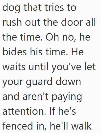 dog that tries to rush out the door all the time. Oh no, he bides his time. He waits until you've let your guard down and aren't paying attention. If he's fenced in, he'll walk