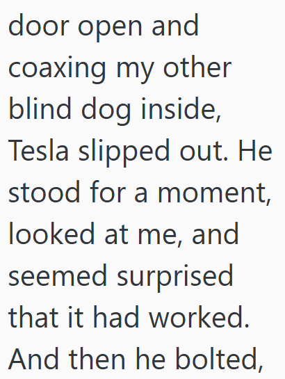 door open and coaxing my other blind dog inside, Tesla slipped out. He stood for a moment, looked at me, and seemed surprised that it had worked. And then he bolted,