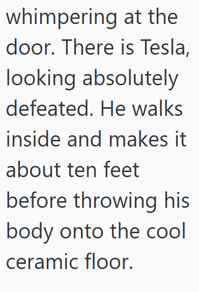 whimpering at the door. There is Tesla, looking absolutely defeated. He walks inside and makes it about ten feet before throwing his body onto the cool ceramic floor.