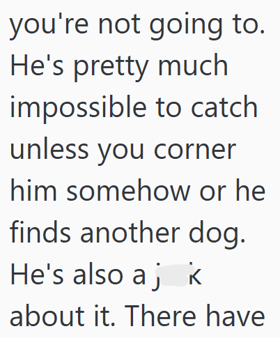 you're not going to. He's pretty much impossible to catch unless you corner him somehow or he finds another dog. He's also aj k about it. There have
