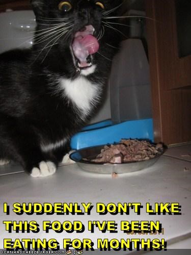 Cheezburger Image 10637525248