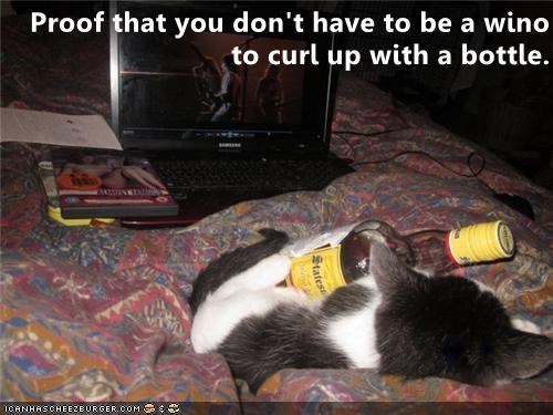 Cheezburger Image 10637526528