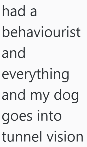 had a behaviourist and everything and my dog goes into tunnel vision