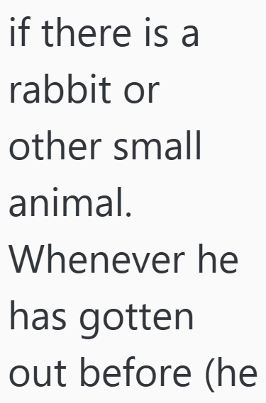 if there is a rabbit or other small animal. Whenever he has gotten out before (he