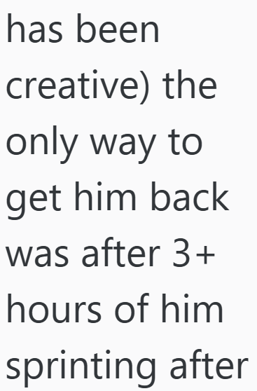 has been creative) the only way to get him back was after 3+ hours of him sprinting after