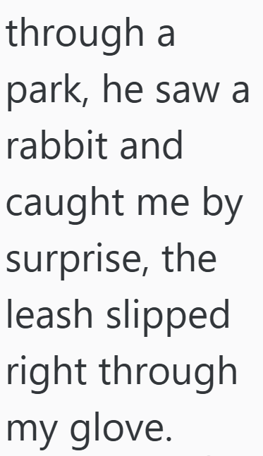 through a park, he saw a rabbit and caught me by surprise, the leash slipped right through my glove.