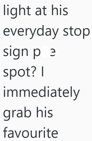 light at his everyday stop sign pe spot? I immediately grab his favourite
